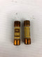 Tron KAX-10 Rectifier Fuse 250 Volts - Lot of 2