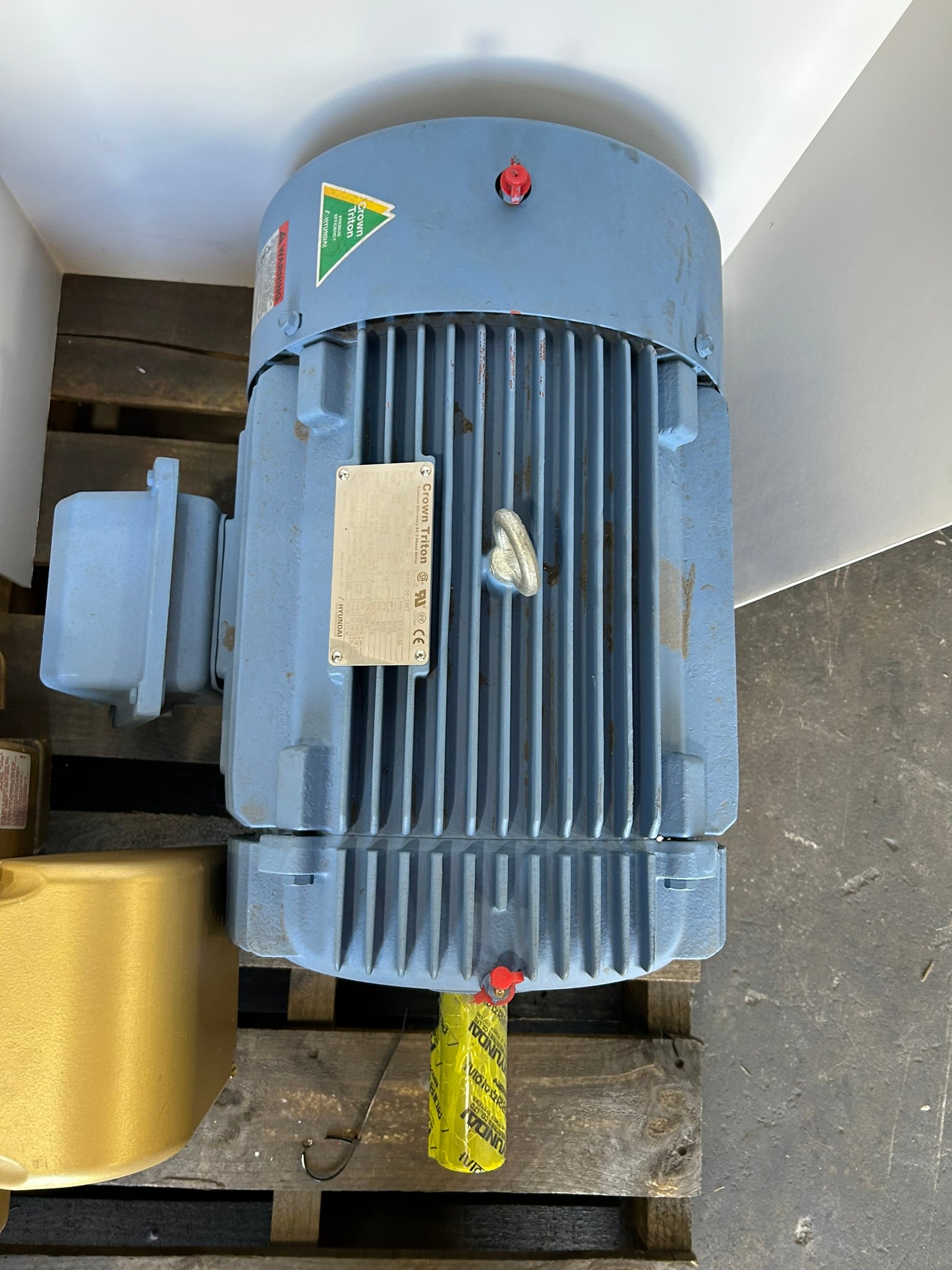 Crown Triton HLS286SR1L5B Motor Frame 286T 2 PH 30 HP 3560 RPM