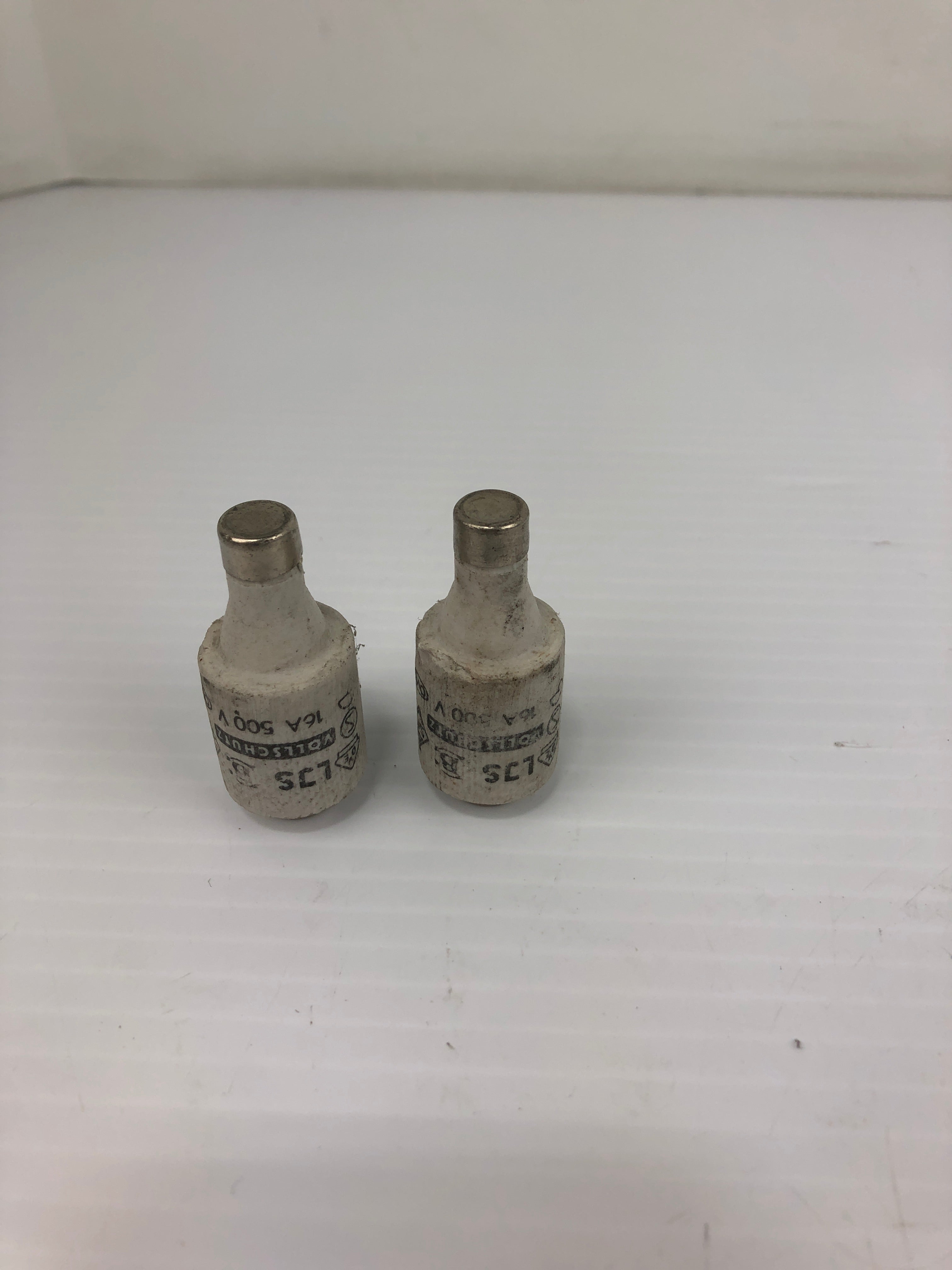 LJS Vollschutz Ceramic Bottle Fuse 16A 500V (Lot of 2)
