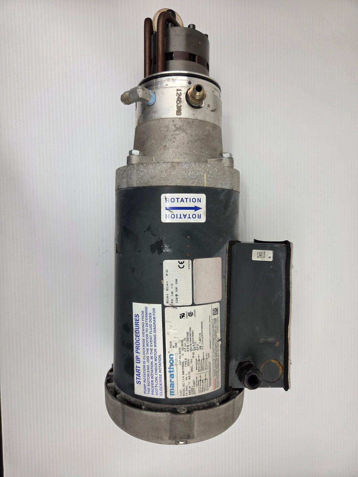 Marathon G575 2HP 1725 RPM 1PH Motor TVH56B17F5306L with Pump Assembly 115/230V