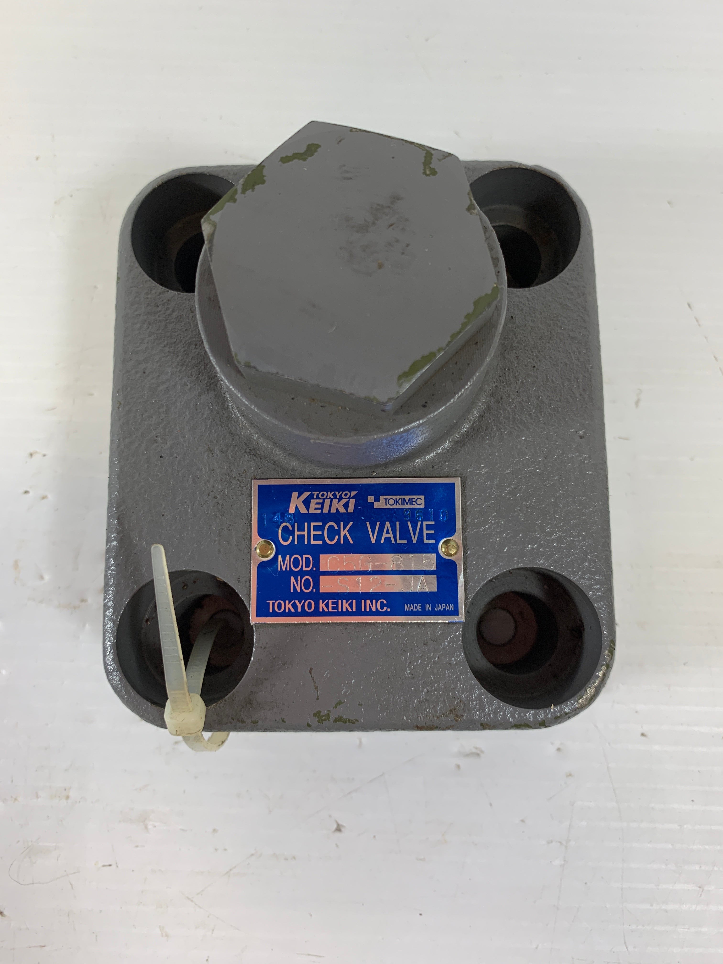 Tokyo Keiki Check Valve C5G-815