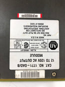 Allen-Bradley 1771-0AD/B 1771-OAD/B 12-120 VAC Output Module