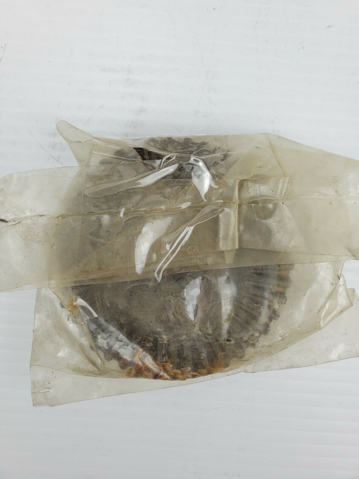 Spicer 3151 Gear Original Service Parts