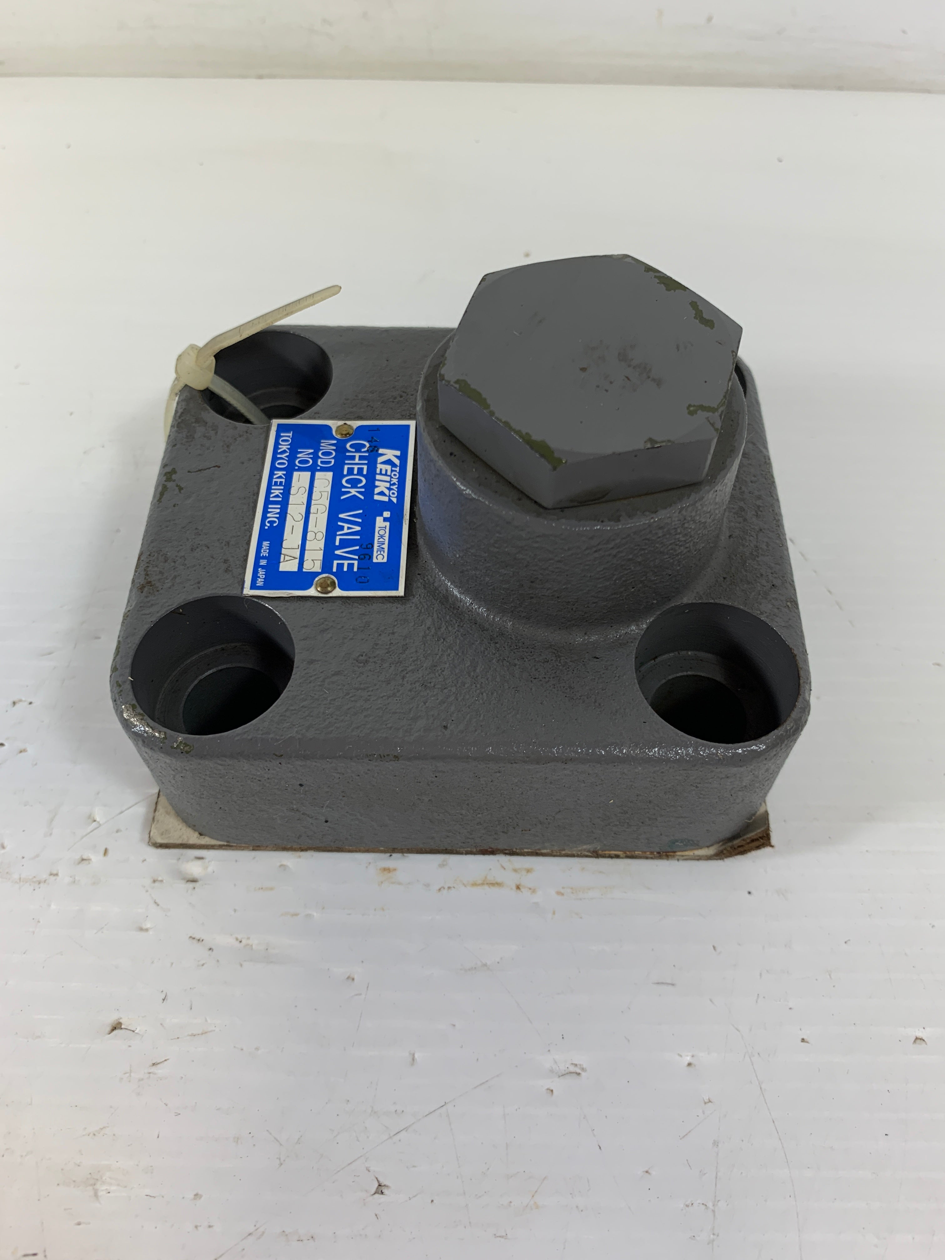 Tokyo Keiki Check Valve C5G-815
