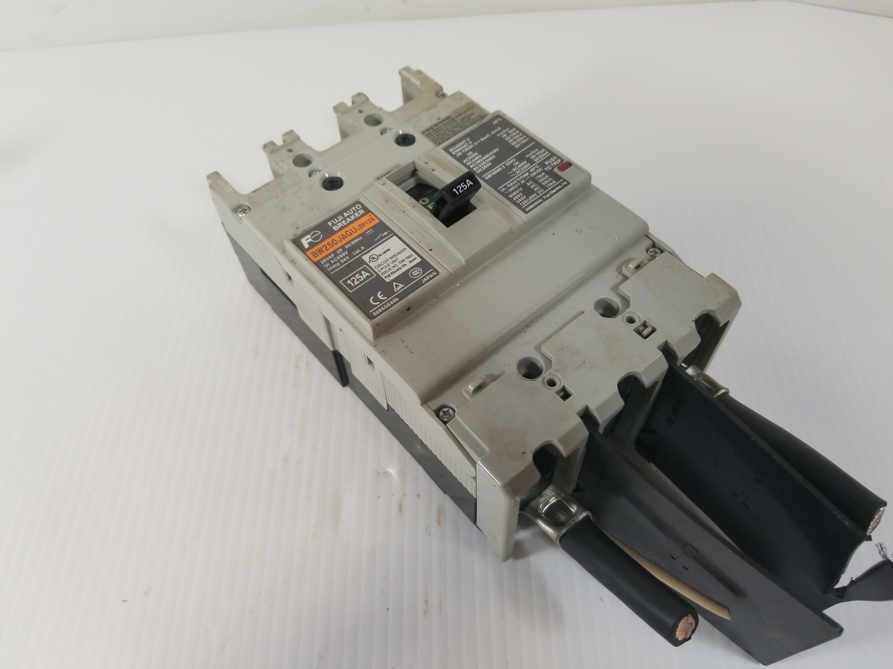 Fuji BW250JAGU-2P125 2-Pole 125A Circuit Breaker