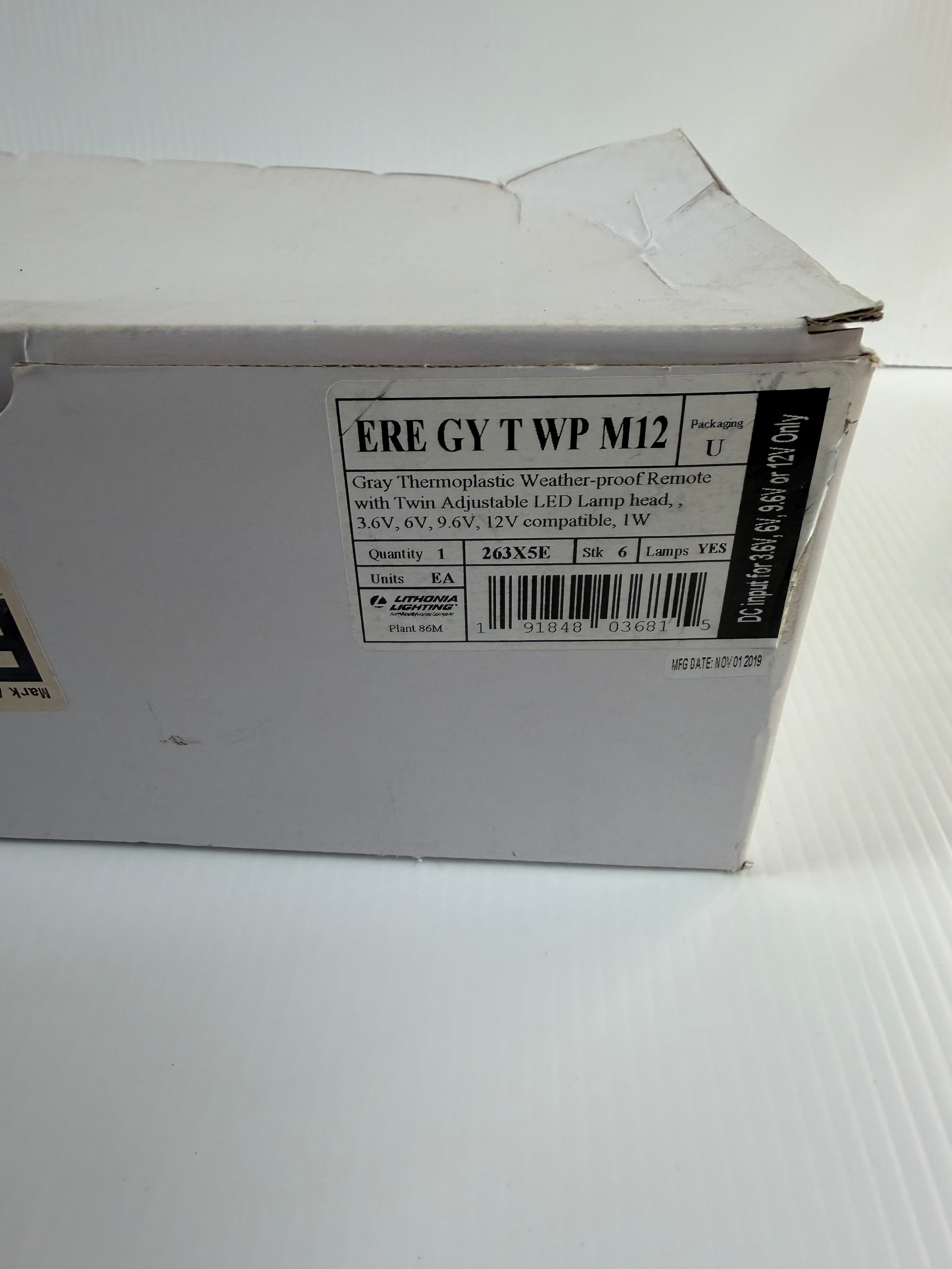Lithonia Lighting Remote with Twin Adjustable LED Lamp Head ERE GY T WP M12