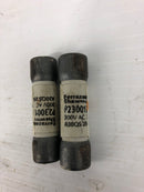 Ferraz Schawmut P230013 Fuses 300 VAC - Lot of 2