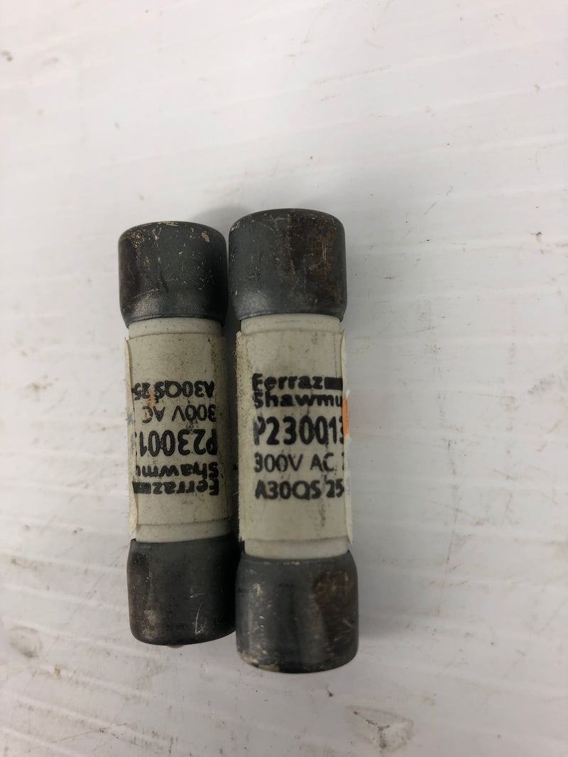 Ferraz Schawmut P230013 Fuses 300 VAC - Lot of 2