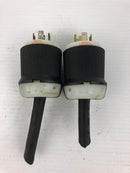 Hubbell Turn and Pull Plug HBL2411 20A 125/250V - Lot of 2