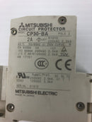 Mitsubishi Electric CP30-BA Circuit Protector 2 Pole 2A