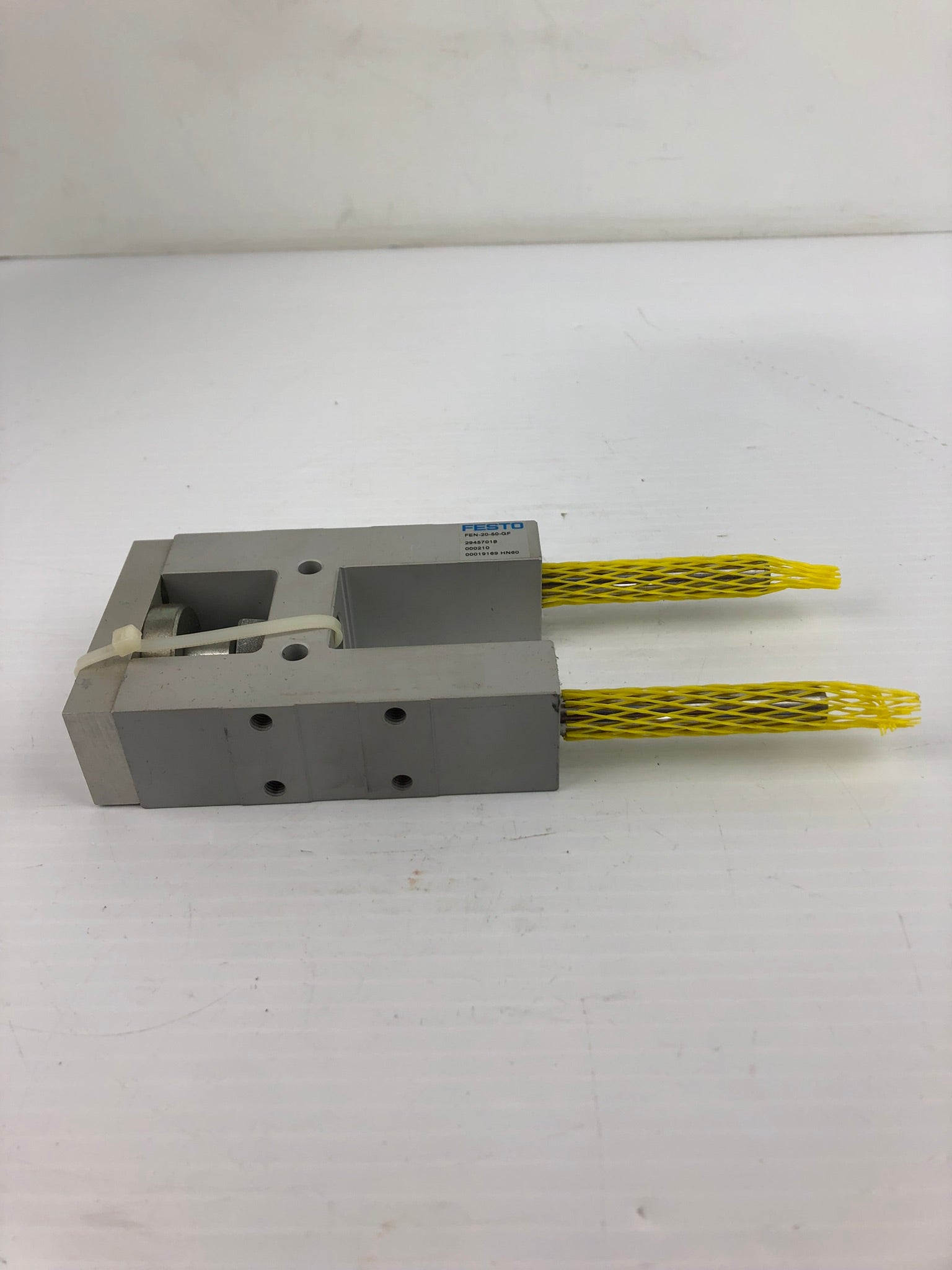 Festo FEN-20-50-GF Cylinder 19169