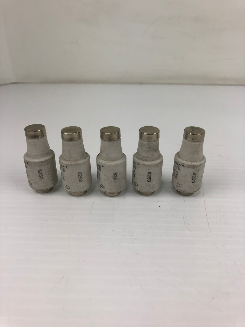 Lindner Vollschutz 597.0257 Ceramic Bottle Fuse 25A 500V (Lot of 5)