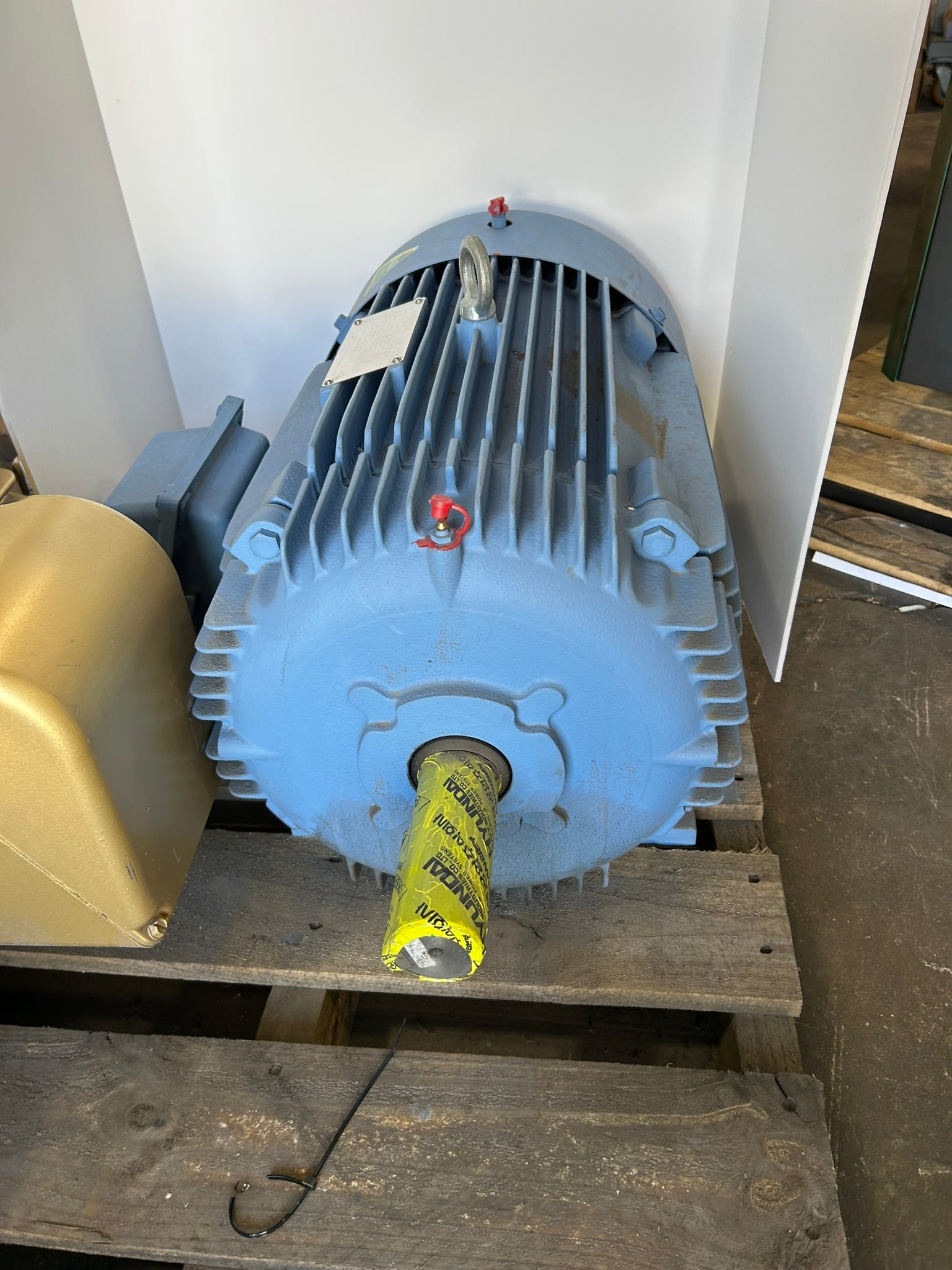 Crown Triton HLS286SR1L5B Motor Frame 286T 2 PH 30 HP 3560 RPM
