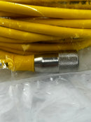 Turck KB 3T-10 Microfast Cordset U2415-00