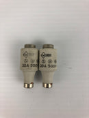 Weber Ceramic Bottle Fuse 20A 500V (Lot of 2)