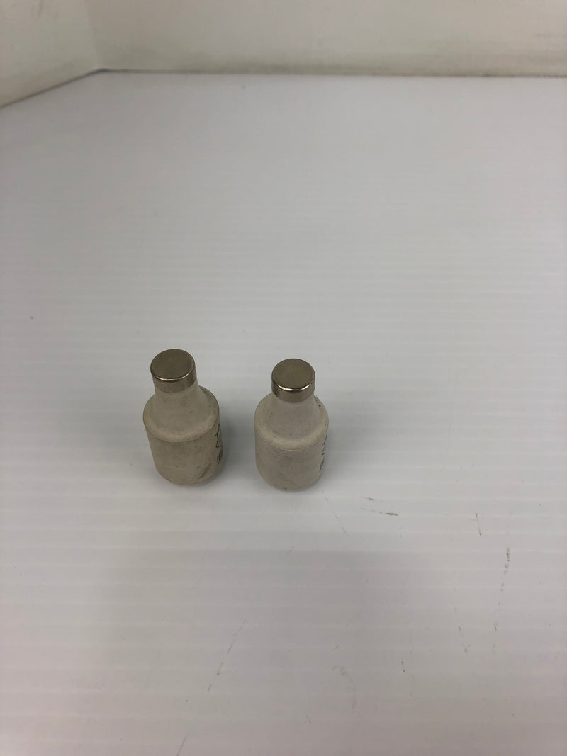 Weber Ceramic Bottle Fuse 20A 500V (Lot of 2)