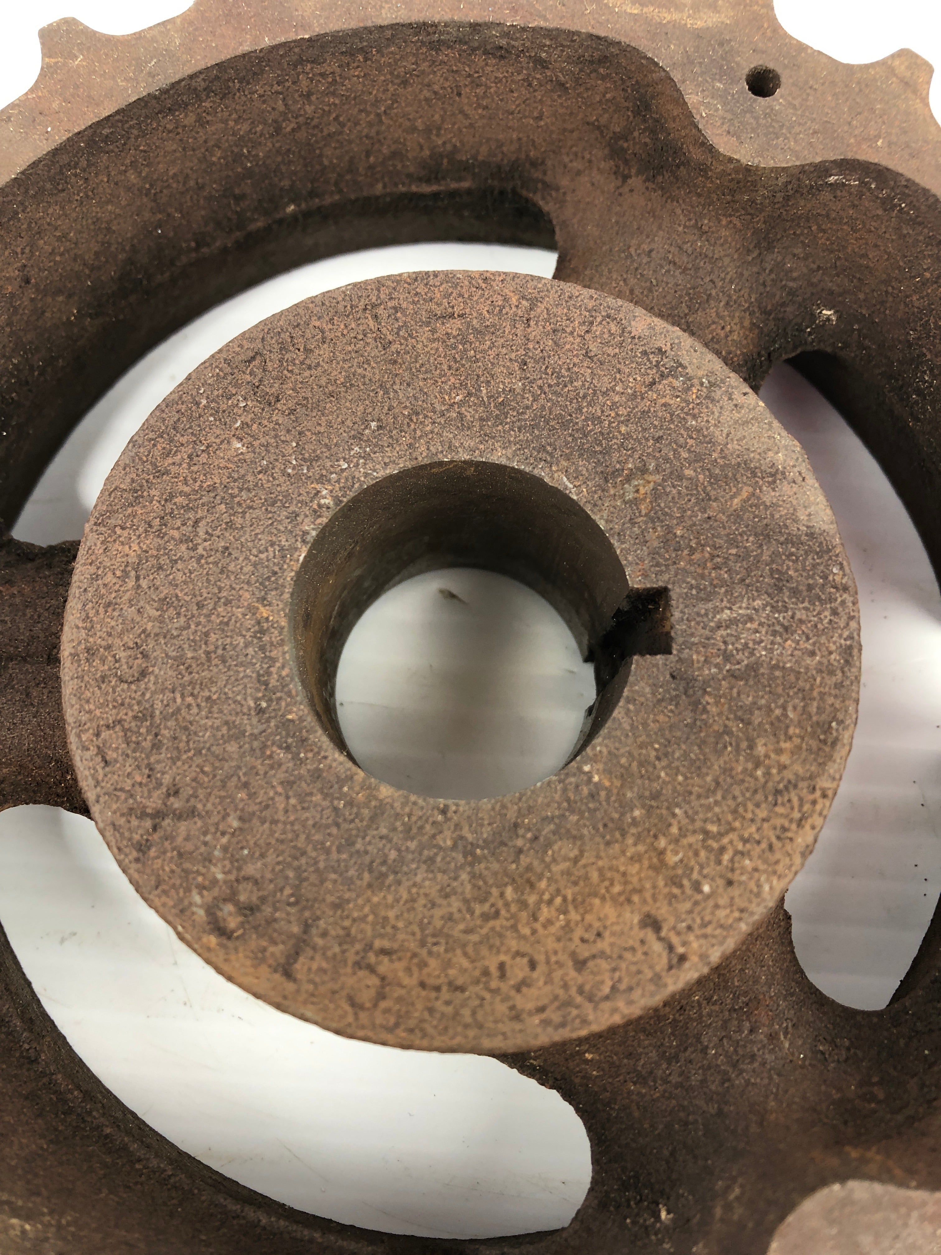 Rex 815-251 Double Row Sprocket 1.24" - 1.36" Bore