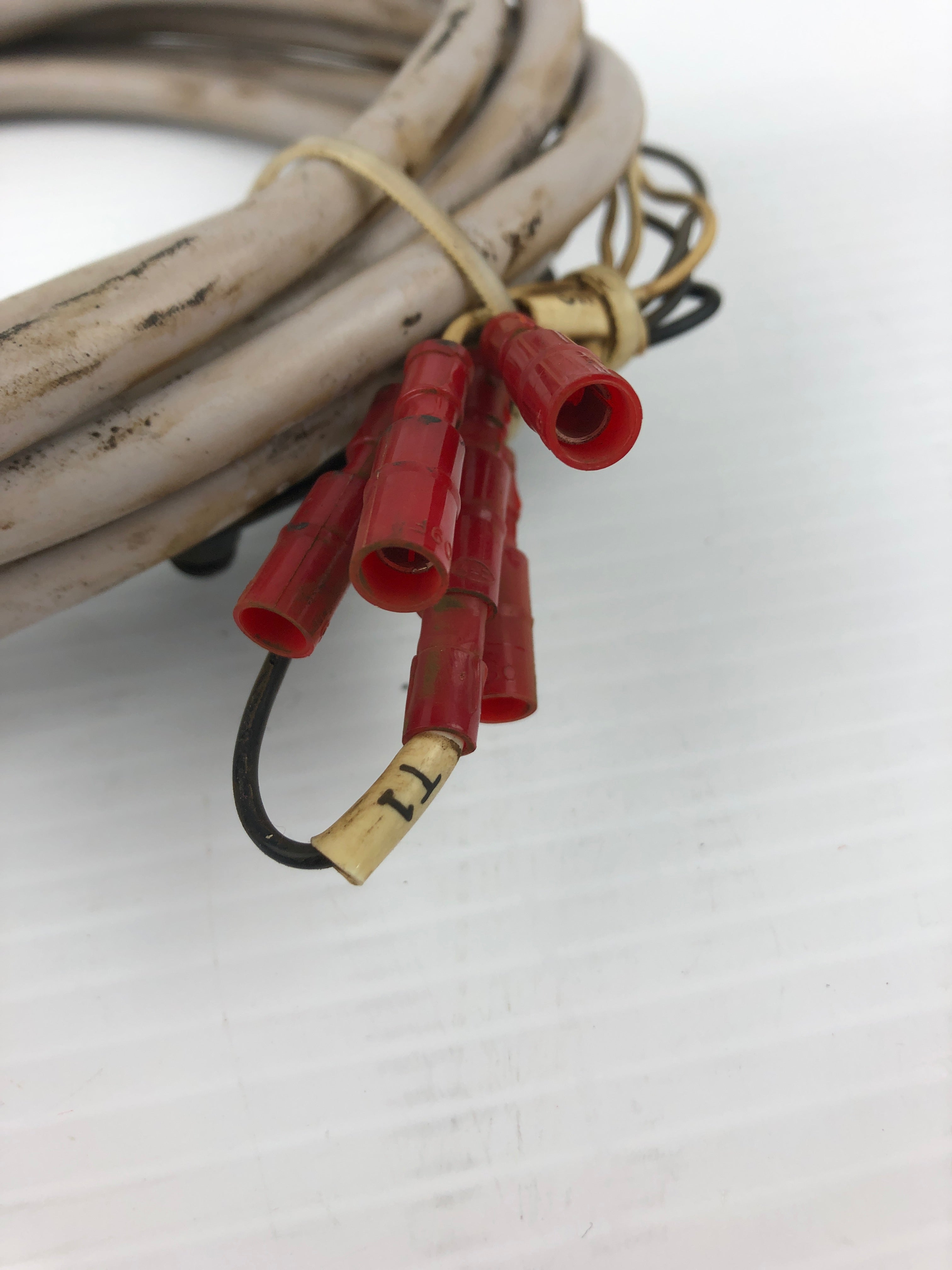 Fuji E.W.C Cable Assembly 6 Pin