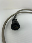 C&M Corp LL33361 Connector Cable CSA AWM Style 2464 300V