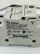 Allen-Bradley 1492-FB2C30 Fuse Holder Series A 600V 30A 2P - Lot of 2