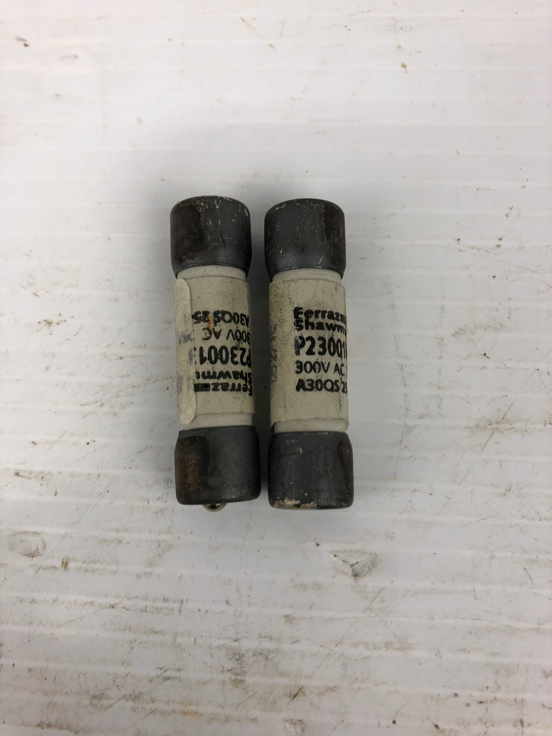 Ferraz Schawmut P230013 Fuses 300 VAC - Lot of 2