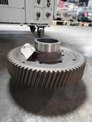 Caterpillar 2P-7005 Gear CAT 2P7005 621 621B 621R 623B 627B 631D 633D 637D 639D