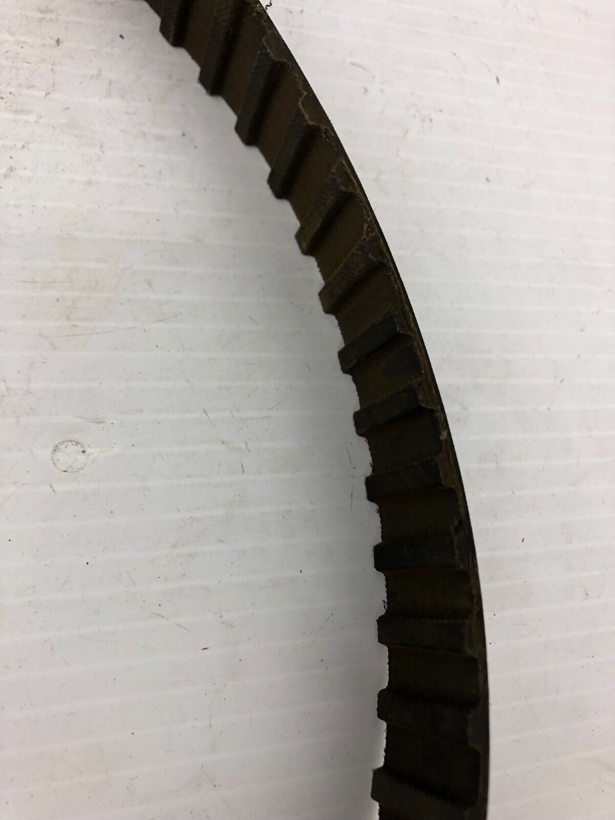 Dayco 360H100 Timing Belt