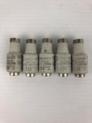 Lindner Vollschutz 597.0257 Ceramic Bottle Fuse 25A 500V (Lot of 5)