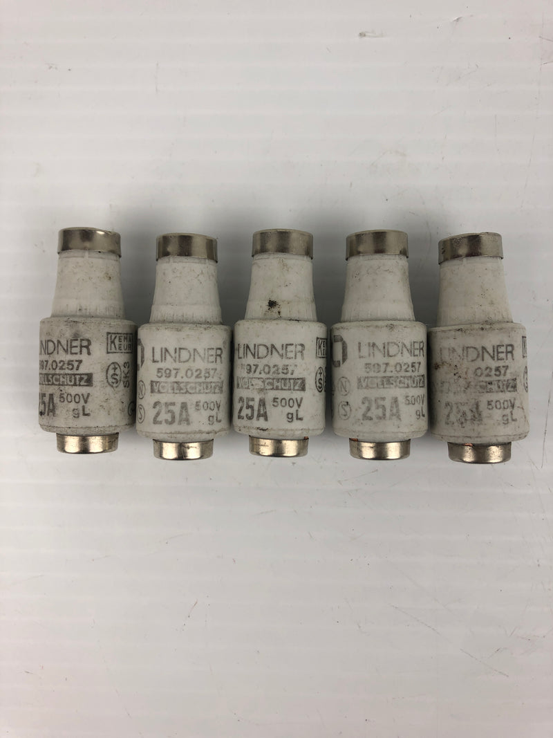 Lindner Vollschutz 597.0257 Ceramic Bottle Fuse 25A 500V (Lot of 5)