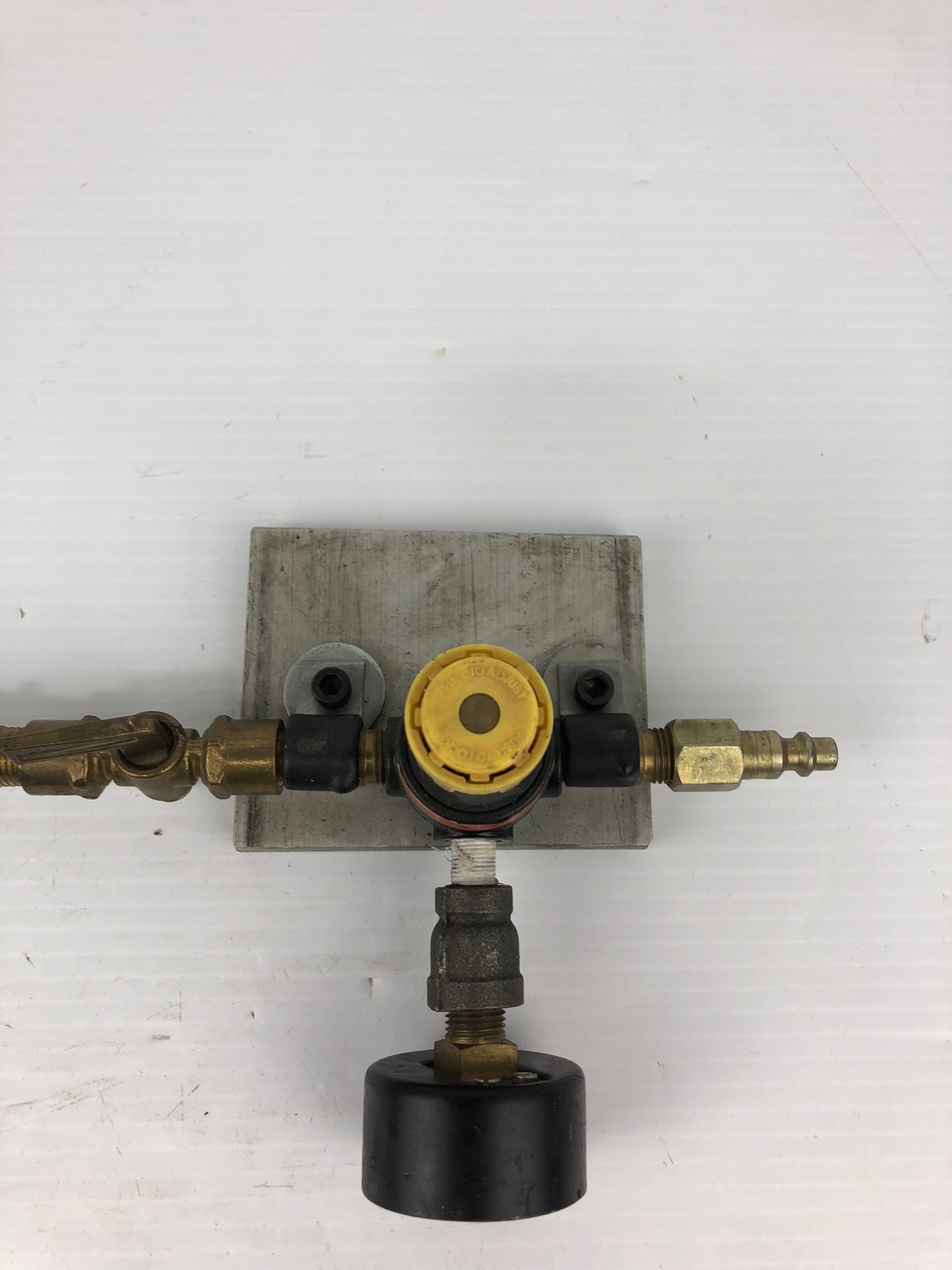 Parker 14R113FC Pressure Regulator with Gauge and Hose