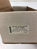 Bimba AP20-R4NM Pressure Regulator