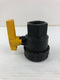 Banjo Polypropylene Single Union Ball Valve 1.17" ID