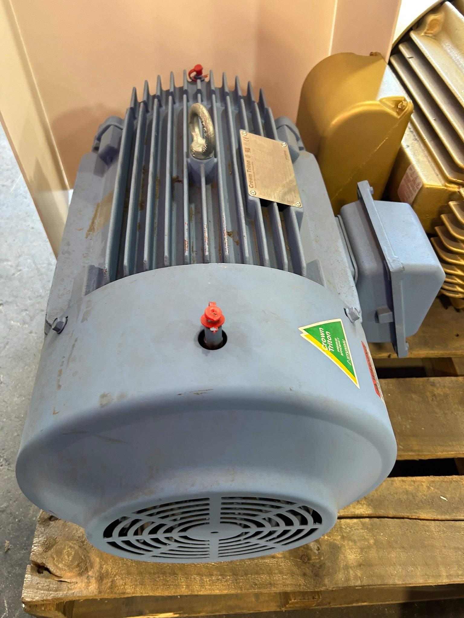 Crown Triton HLS286SR1L5B Motor Frame 286T 2 PH 30 HP 3560 RPM