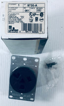 Leviton 2-Pole 3-Wire Grounding Flush Mount Power Outlet 9730-A