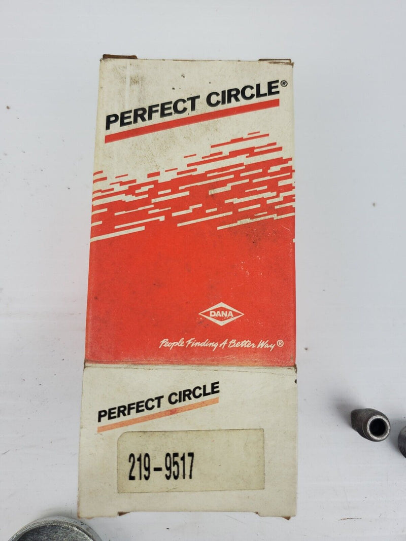 Perfect Circle 219-9517 Engine Expansion Plug Kit 2199517