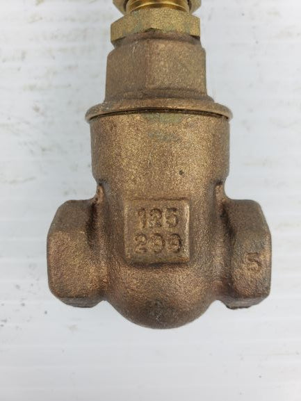 Hammond IB645 Brass Gate Valve 1/4"