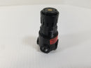 Wilkerson R03-01-000 Pneumatic Pressure Regulator