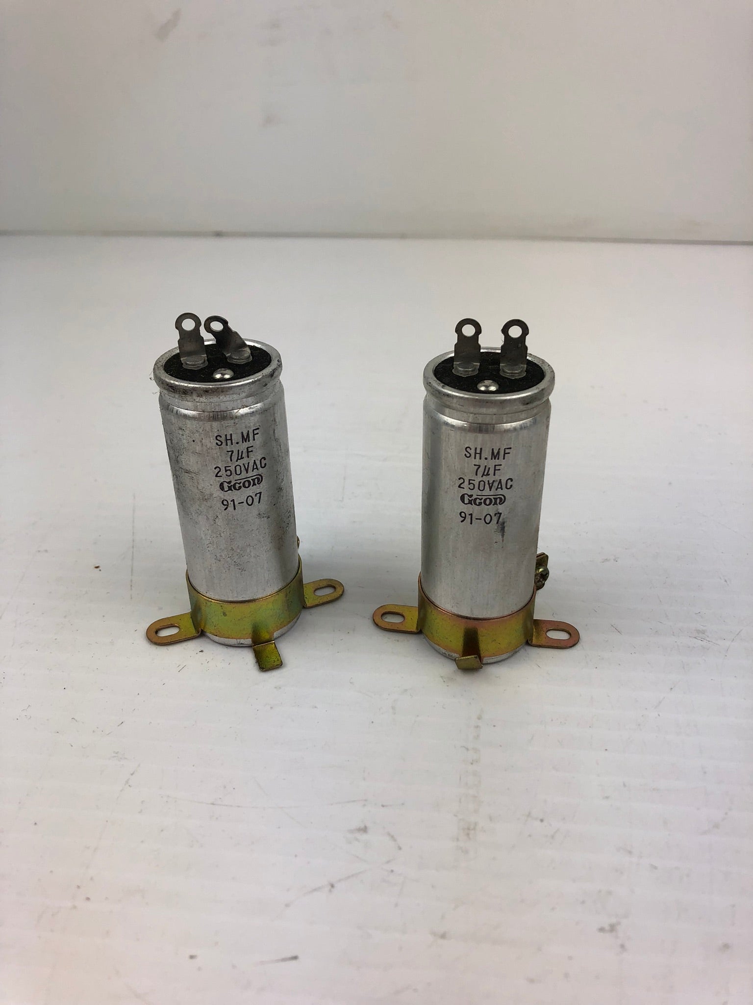 CGON 91-07 Resistor 250 VAC (lot of 2)