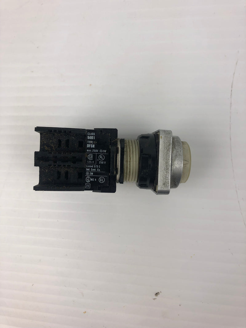 Square D 9011 DFSN Push Button Switch Clear 250V 2W