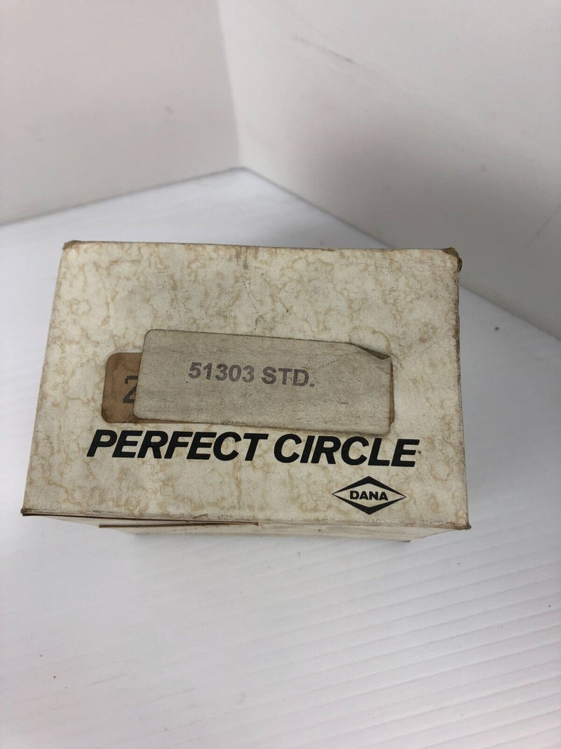 Perfect Circle 51303 Engine Piston Rings (Pkg of 2)