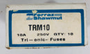 Ferraz Shawmut 10A 250V Fuse TRM10 (Lot of 10)