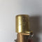 Kingston 110C 600 PSI Safety Relief Valve