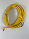 Turck Cable WK 4.41T-6/S529 U2437-5