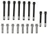 Victor Reinz Engine Cylinder Head Bolt Set GS33285