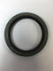 SKF Oil Seal 31147