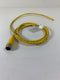 Lumberg RKT 4-679/2M Sensor Cordset 300V