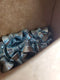 Box of 58901021000 1/4-20x7/16 ZN PL Socket Flat Head Screwcap (Box of 100)