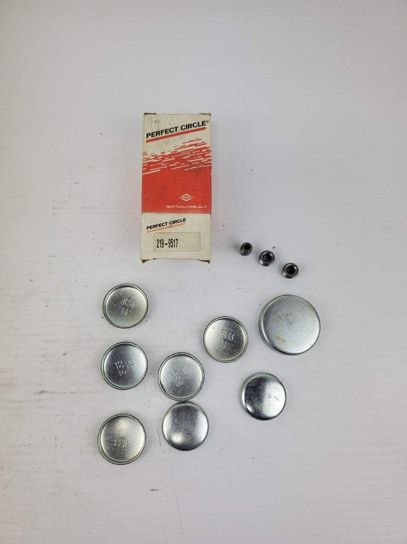 Perfect Circle 219-9517 Engine Expansion Plug Kit 2199517