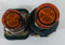 Illuminated Amber Push Button Switch (Lot of 2)