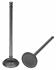 Clevite 2113181 Engine Intake Valve Pair 211-3181